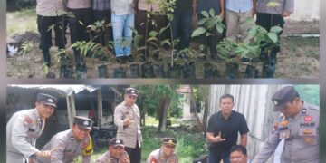 Polsek Bunut Tanam 21.000 Pohon Serentak Peringati Hari Pohon Nasional 2025