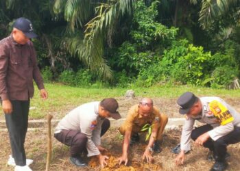 Polsek Ukui Tanam Pohon di Kelurahan Ukui Satu, Dukung Program Green Policing Kapolda Riau