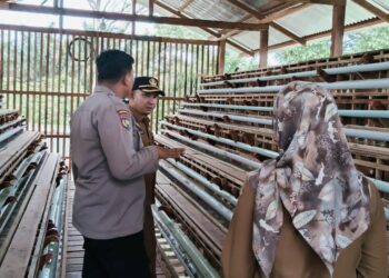Polisi Monitoring Peternakan Ayam Petelor di Desa Kuala Semundam Pelalawan