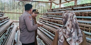 Polisi Monitoring Peternakan Ayam Petelor di Desa Kuala Semundam Pelalawan