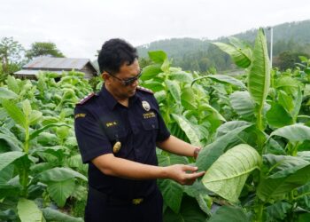 Bea Cukai Langsa Dukung UMKM Kabupaten Gayo Lues dan Aceh Tenggara