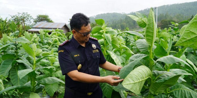 Bea Cukai Langsa Dukung UMKM Kabupaten Gayo Lues dan Aceh Tenggara