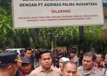 “Akhirnya Dikuasai Rakyat: Kebun Jimmy 1.070 Ha Resmi Direbut Kelompok Tani”