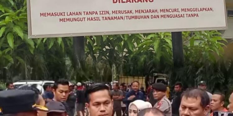 “Akhirnya Dikuasai Rakyat: Kebun Jimmy 1.070 Ha Resmi Direbut Kelompok Tani”