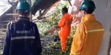 BPBD Kota Langsa Gerak Cepat Evakuasi Pohon Tumbang Timpa Warung Kelontong 