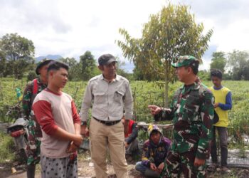 Dandim 0106/Aceh Tengah Turun Langsung Membeli Cabe Dari Petani