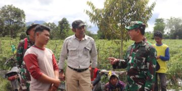 Dandim 0106/Aceh Tengah Turun Langsung Membeli Cabe Dari Petani