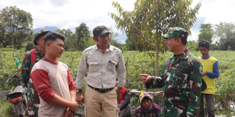 Dandim 0106/Aceh Tengah Turun Langsung Membeli Cabe Dari Petani