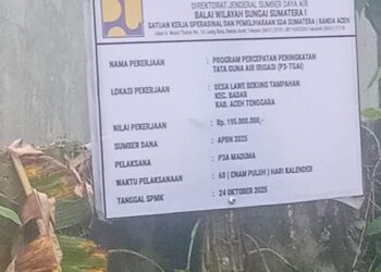 Proyek P3TGAI Di Desa Lawe Bekung Diduga Asal Jadi