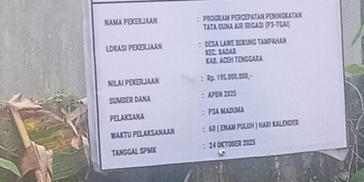 Proyek P3TGAI Di Desa Lawe Bekung Diduga Asal Jadi