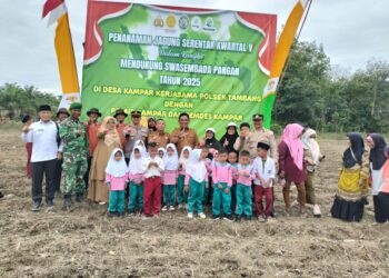 Polsek Tambang Tanam Jagung, ‘Dukung’ Ketahanan Pangan, Kapolsek: Sinergi dengan PT Air Kampar, Lahan Tidur Jadi Produktif’!”