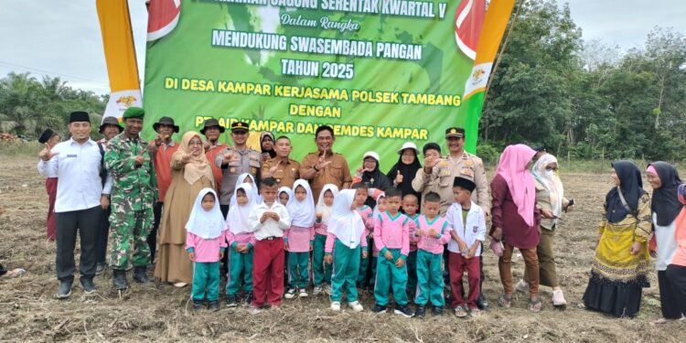 Polsek Tambang Tanam Jagung, ‘Dukung’ Ketahanan Pangan, Kapolsek: Sinergi dengan PT Air Kampar, Lahan Tidur Jadi Produktif’!”