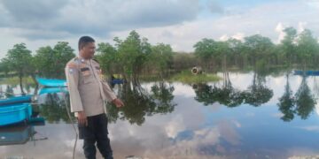 Banjir di Kelurahan Kerumutan Terpantau Normal, Warga Belum Mengungsi