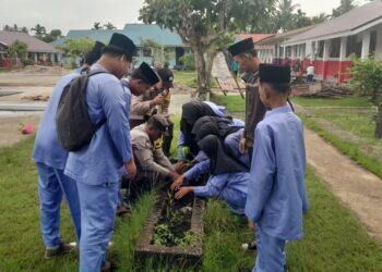 Polres Pelalawan Tanam Bibit Pohon Mangga di SMPN 1 Kuala Kampar