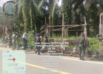 Satpol PP/WH Tertibkan ODGJ Dan Anak Punk Yang Resahkan Warga Danau Paris