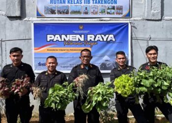 Dukung Ketahanan Pangan, Rutan Takengon Gelar Panen Raya Serentak Bersama Kemenimipas