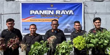 Dukung Ketahanan Pangan, Rutan Takengon Gelar Panen Raya Serentak Bersama Kemenimipas