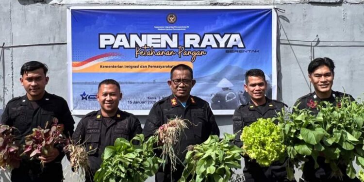 Dukung Ketahanan Pangan, Rutan Takengon Gelar Panen Raya Serentak Bersama Kemenimipas