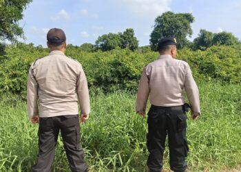 Polisi Patroli Daerah Rawan Karhutla di Pangkalan Kerinci