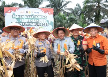 Wujudkan Swasembada Pangan, Polda Riau Panen Raya Jagung Serentak di Kampar