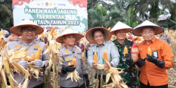 Wujudkan Swasembada Pangan, Polda Riau Panen Raya Jagung Serentak di Kampar