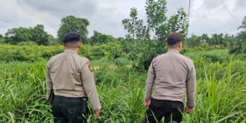 Polsek Pangkalan Kerinci Patroli Daerah Rawan Karhutla, Sosialisasikan Larangan Bakar Lahan