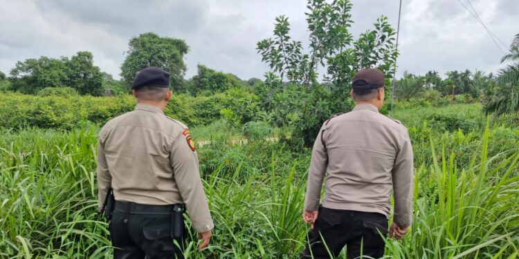 Polsek Pangkalan Kerinci Patroli Daerah Rawan Karhutla, Sosialisasikan Larangan Bakar Lahan