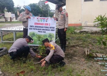 Polsek Bunut Lakukan Perawatan Bibit Pohon Dukung Program Penghijauan Kapolda Riau