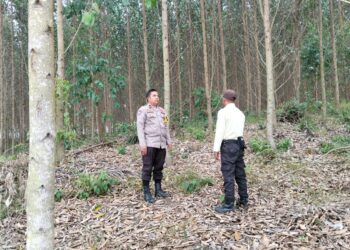 Polsek Bunut Patroli Wilayah Rawan Karhutla, Titik Api Nihil