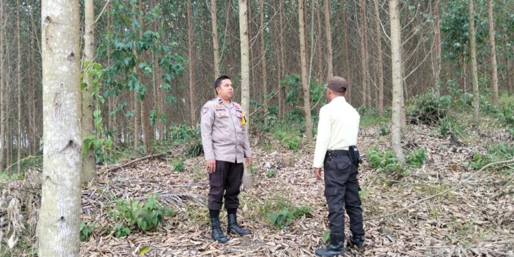 Polsek Bunut Patroli Wilayah Rawan Karhutla, Titik Api Nihil