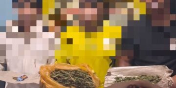 Satresnarkoba Polres Aceh Tengah Ungkap Kasus Ganja, Tiga Pelaku Diamankan