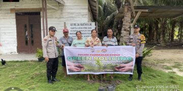 Polsek Pangkalan Kuras Tanam Bibit Manggis dan Kelengkeng Dukung Program Green Policing