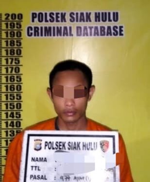 Polsek Siak Hulu Tangkap Spesialis Curanmor dan Pernah Beraksi 7 TKP di Pekanbaru!