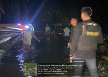 Polsek Kerumutan Bersama BKSDA Amankan Kayu Olahan Ilegal, Pemilik Masih Dalam Lidik