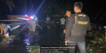 Polsek Kerumutan Bersama BKSDA Amankan Kayu Olahan Ilegal, Pemilik Masih Dalam Lidik