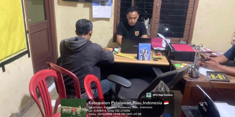 Empat Orang Diduga Curi Sawit PT Sari Lembah Subur di Pelalawan, Kerugian Hampir Rp 1 Juta