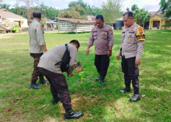 Polsek Ukui Hijaukan Lingkungan, Tanam Pohon Mangga dan Matoa