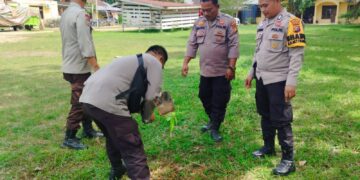 Polsek Ukui Hijaukan Lingkungan, Tanam Pohon Mangga dan Matoa