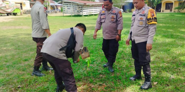 Polsek Ukui Hijaukan Lingkungan, Tanam Pohon Mangga dan Matoa