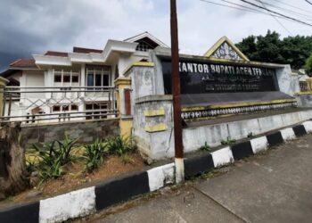 Seleksi Eselon II Aceh Tengah Antara Meritokrasi Dan Kepentingan Tersembunyi