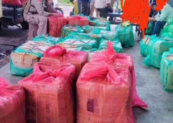 Barang Diterlantarkan Di Bandara, Perwakilan Petani Tuntut Tanggung Jawab Asosiasi Petani Ateng – BM