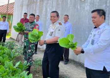 Dukung Ketahanan Pangan, Lapas Narkotika Langsa Ikuti Panen Raya Serentak Pemasyarakatan