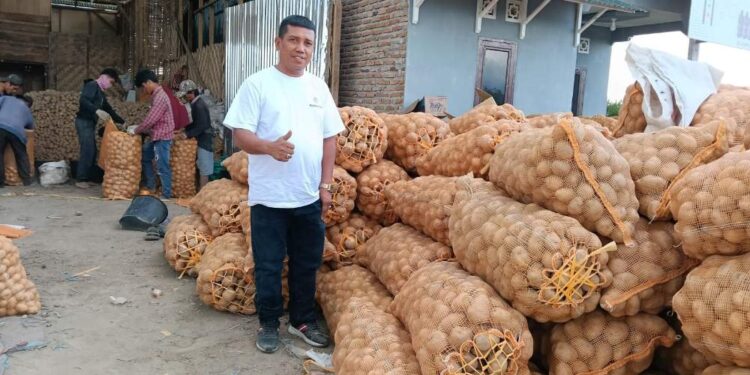 Rumah Tani Nusantara Kirim 60 Ton Kentang, Mendongkrak Harga Pasca Bencana