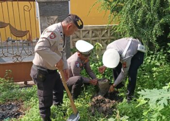 Polisi Tanam Bibit Pohon di Pangkalan Kerinci, Dukung Program Penghijauan Kapolda Riau