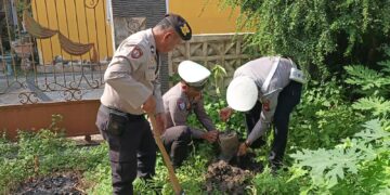 Polisi Tanam Bibit Pohon di Pangkalan Kerinci, Dukung Program Penghijauan Kapolda Riau