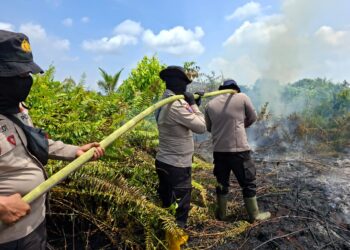 Hari Kelima Pendinginan, Tim Karhutla Kuala Kampar Padamkan Hotspot di Sungai Upih