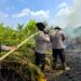 Hari Kelima Pendinginan, Tim Karhutla Kuala Kampar Padamkan Hotspot di Sungai Upih