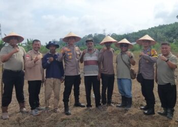 Polsek Pangkalan Kuras Tanam Jagung Pipil 3 Hektare di Desa Betung, Dukung Swasembada Pangan 2026