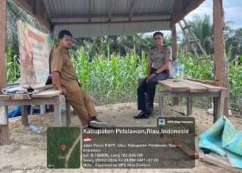 Bhabinkamtibmas Air Hitam Monitoring Lahan Jagung, Dukung Program Asta Cita Presiden