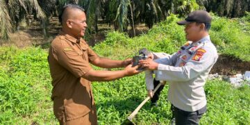 Polsek Ukui Tanam Mangga dan Matoa di SDN 002, Wujud Nyata Green Policing 2026 diwilayah hukumnya
